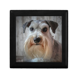 Schnauzer Dog face Gift Box
