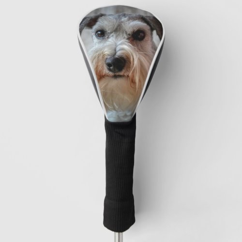 Schnauzer Dog face Golf Head Cover