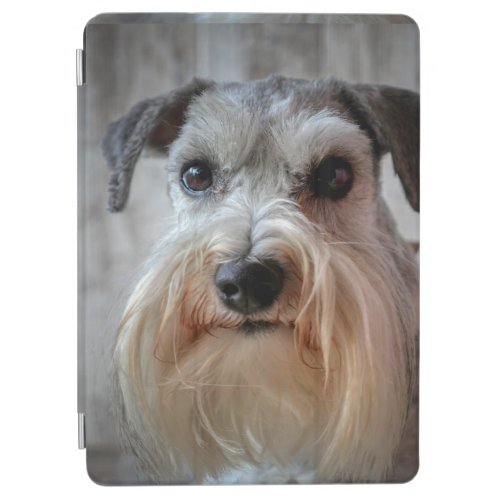 Schnauzer Dog face iPad Air Cover