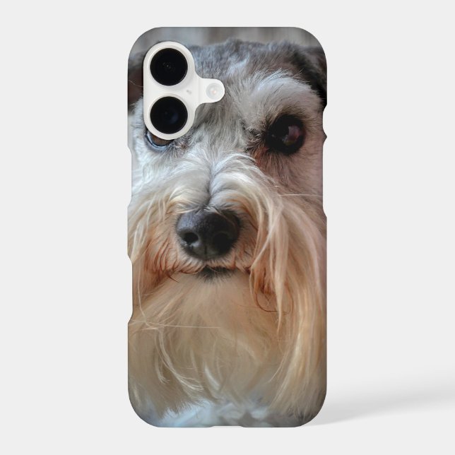 Schnauzer Dog face Iphone Case (Back)