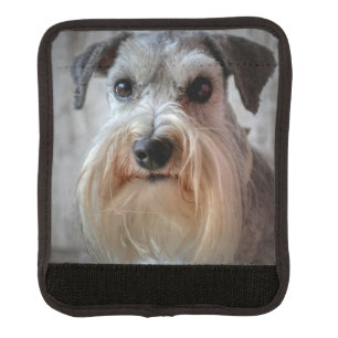 Schnauzer Dog face Luggage Handle Wrap