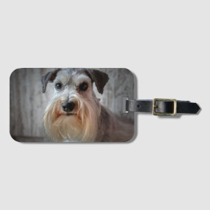 Schnauzer Dog face Luggage Tag