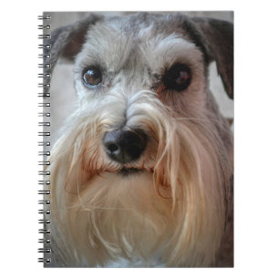Schnauzer Dog face Notebook