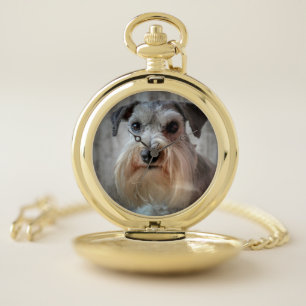 Schnauzer Dog face Pocket Watch