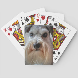 Schnauzer Dog face Poker Cards