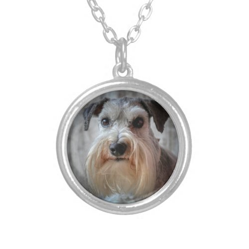 Schnauzer Dog face Silver Plated Necklace