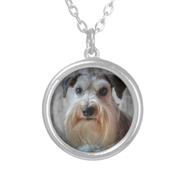 Schnauzer Dog face Silver Plated Necklace (Front)