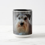 Schnauzer Dog Face Two-Tone Coffee Mug