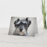 Schnauzer Dog Greeting Card