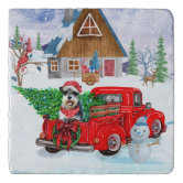 https://rlv.zcache.com/schnauzer_dog_in_christmas_delivery_truck_snow_trivet-rb061e49fffc64245ab70e0a30f0547c8_zd92q_166.jpg?rlvnet=1