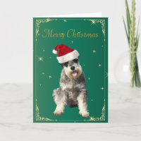 Schnauzer dog in santa hat holiday christmas card