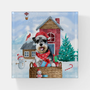 Schnauzer Dog In snow Christmas Dog House Paperweight