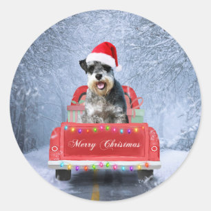 Schnauzer Dog in Snow sitting in Christmas Truck Classic Round Sticker