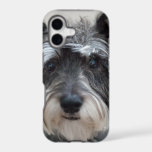 Schnauzer Dog iPhone 17 Case