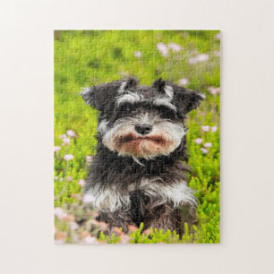 Schnauzer Dog Jigsaws. Jigsaw Puzzle