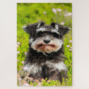 Schnauzer Dog Jigsaws. Jigsaw Puzzle