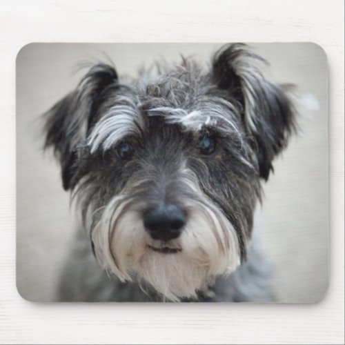 Schnauzer Dog Mouse Pad