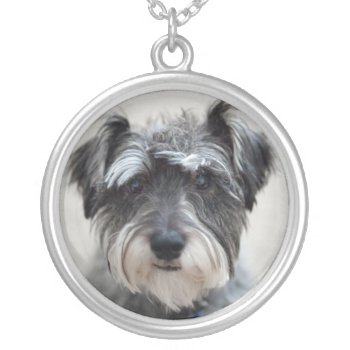 Schnauzer Dog Necklace by DogPoundGifts at Zazzle