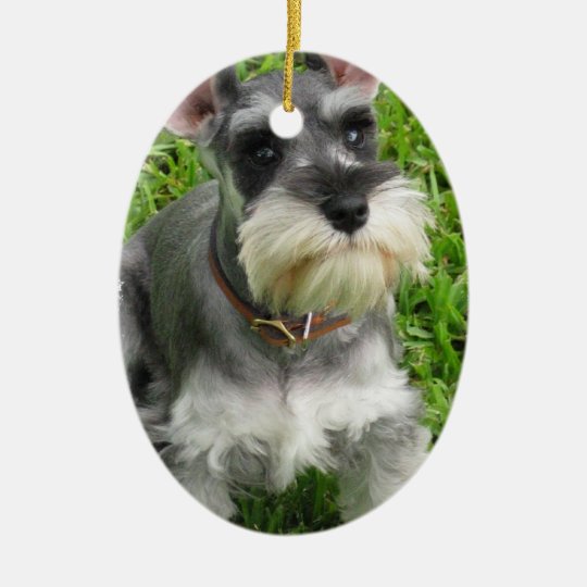 schnauzer garden ornament