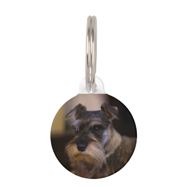 Schnauzer Dog Pet ID Tag (Front)