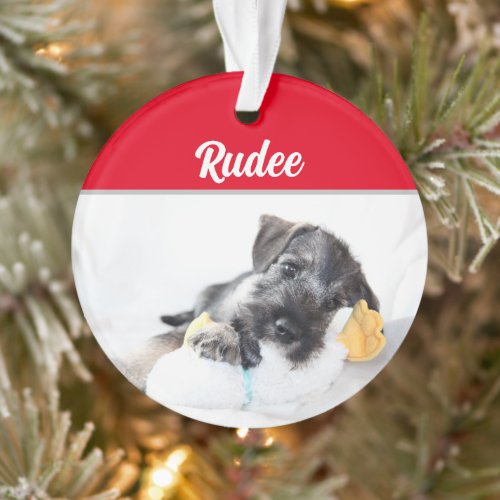 Schnauzer Dog with Name and Photo Christmas Ornament