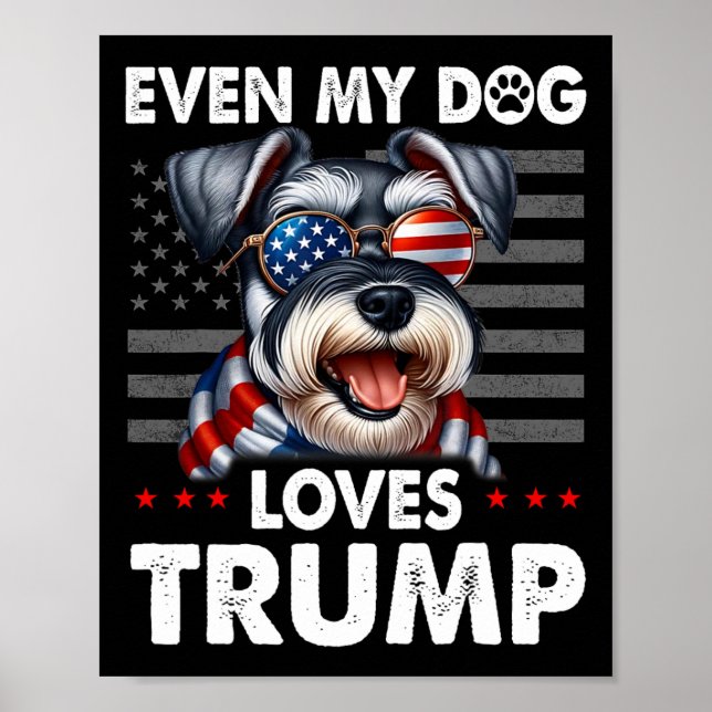 Schnauzer Even My Dog Loves Trump Funny  Poster (Front)