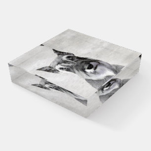 Schnauzer (Giant) Painting - Dog Art Paperweight