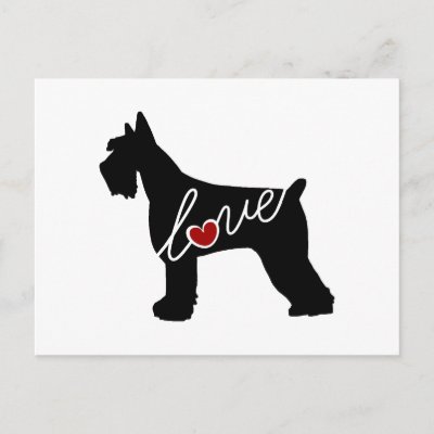 Schnauzer  / Giant Schnauzer Love Postcard