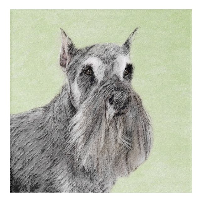 Schnauzer (Giant, Standard) Painting - Dog Art (Front)