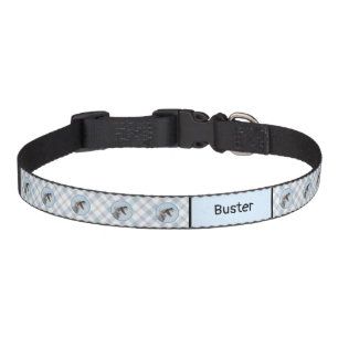 Schnauzer (Giant, Standard) Painting - Dog Art Pet Collar