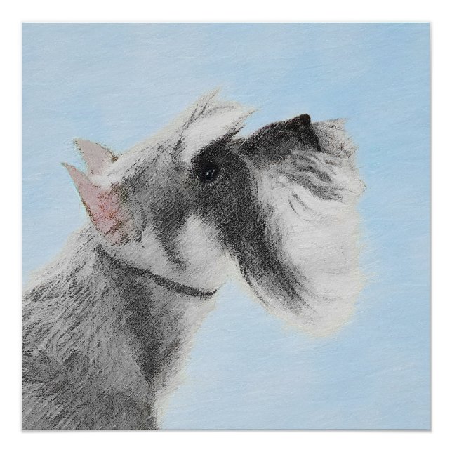 Schnauzer (Giant, Standard)  Painting - Dog Art Poster (Front)