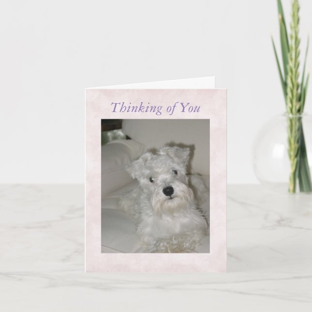 Schnauzer Greeting Card (Front)