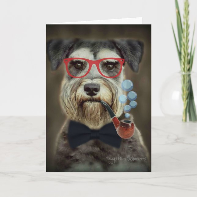 Schnauzer Greeting Card All Occassions (Front)