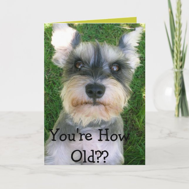 Schnauzer Happy Bday Card (Front)