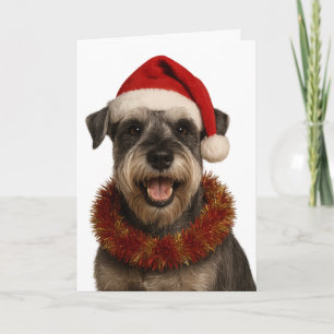Schnauzer in a Santa hat Christmas card