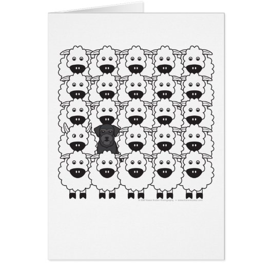 Schnauzer in the Sheep Cards (Front)