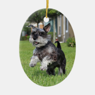 Schnauzer, joy ceramic ornament