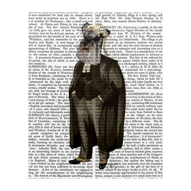 Schnauzer Lawyer Acrylic Print (Front)