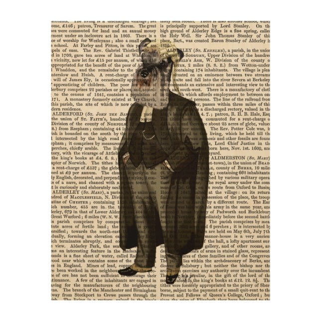 Schnauzer Lawyer Wood Wall Decor (Front)
