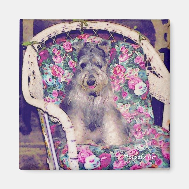 Schnauzer Magnet (Front)