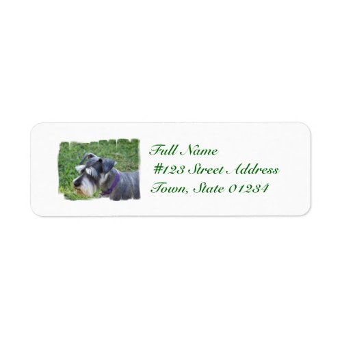 Schnauzer Mailing Labels