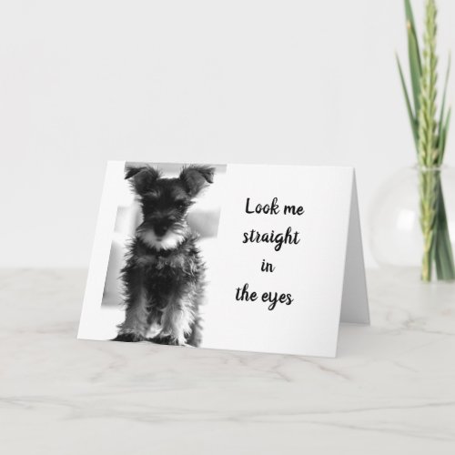 SCHNAUZER MAKES CASE FOR YOU CANT BE 40 CARD