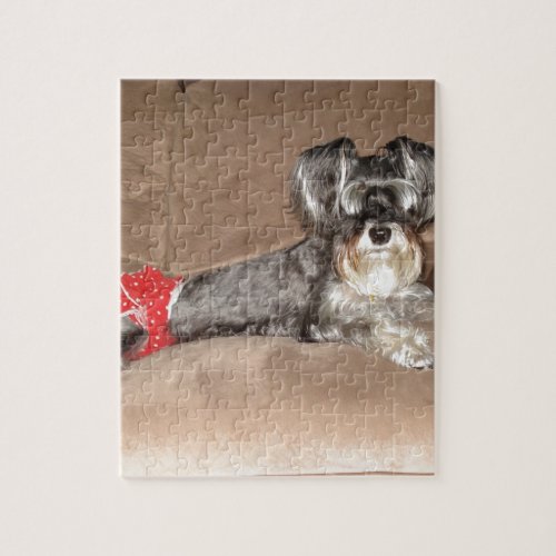 Schnauzer Merchandise Jigsaw Puzzle