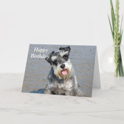 Schnauzer miniature dog beach photo birthday card