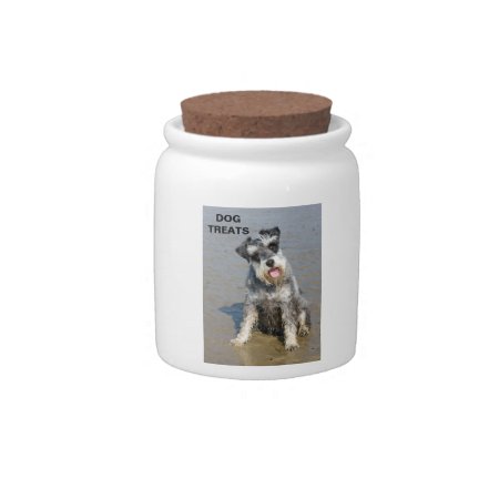 Schnauzer Miniature Dog Cute Photo At Beach, Gift Candy Jar