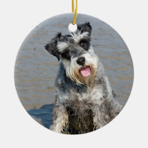 Schnauzer miniature dog cute photo at beach gift ceramic ornament