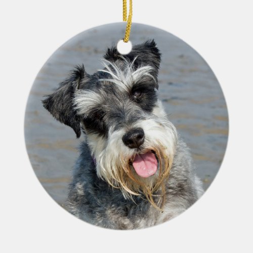 Schnauzer miniature dog cute photo at beach gift ceramic ornament