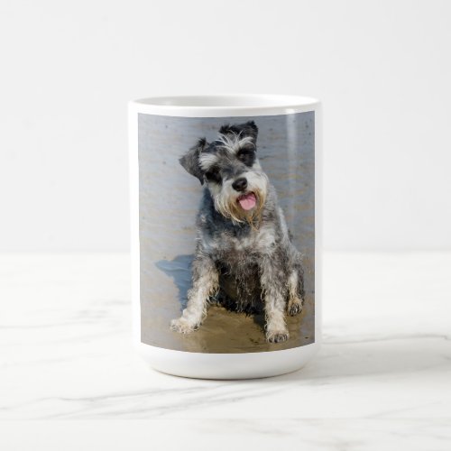 Schnauzer miniature dog cute photo at the beach coffee mug