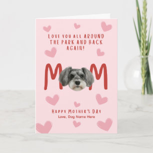 schnauzer Mother Day Card