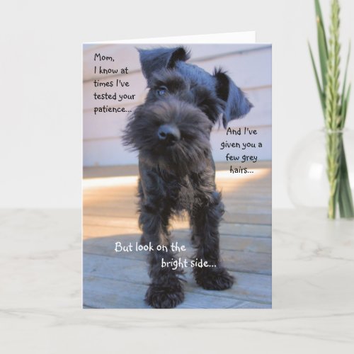Schnauzer Mothers Day Greeting Card